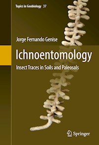 Ichnoentomology - Jorge Fernando Genise - E-Book