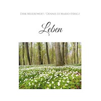 Leben - Dirk Meierewert - E-Book
