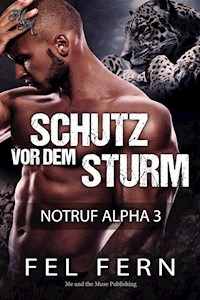 Schutz vor dem Sturm - Fel Fern - E-Book