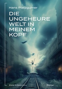 Die ungeheure Welt in meinem Kopf - Hans - E-Book
