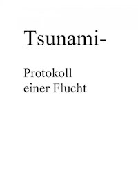 Tsunami- Protokoll einer Flucht - Klaus Hönn - E-Book
