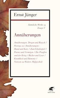 Sämtliche Werke - Band 13 - Ernst Jünger - E-Book