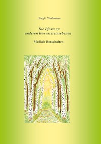 Die Pforte zu anderen Bewusstseinsebenen - Birgit Waßmann - E-Book