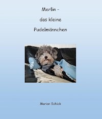 Merlin - das kleine Pudelmännchen - Marion Schick - E-Book