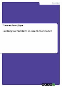 Leistungskennzahlen in Krankenanstalten - Thomas Gamsjäger - E-Book
