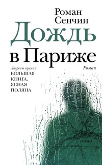 Дождь в Париже - Роман Сенчин - E-Book