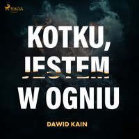 Kotku jestem w ogniu - Dawid Kain - Hörbuch