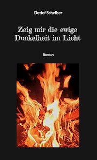 Zeig mir die ewige Dunkelheit im Licht - Detlef Scheiber - E-Book