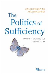 The Politics of Sufficiency - Uwe Schneidewind - E-Book