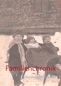 Familienchronik - DoKo Tanwic - E-Book