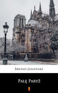 Palę Paryż - Jasieński Bruno - E-Book