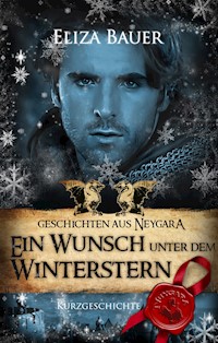 Ein Wunsch unter dem Winterstern - Eliza Bauer - E-Book
