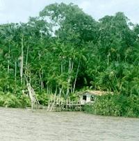 Alua - Gesine Kunst - E-Book