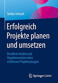 Erfolgreich Projekte planen und umsetzen - Stefan Irmisch - E-Book