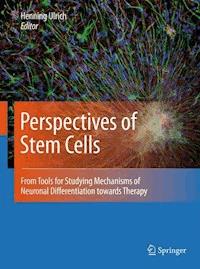 Perspectives of Stem Cells -  - E-Book