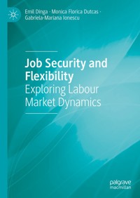 Job Security and Flexibility - Emil Dinga - E-Book