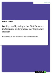 Die Psycho-Physiologie der fünf Elemente im Vajrayana als Grundlage der Tibetischen Medizin - Lukas Gallei - E-Book