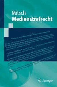 Medienstrafrecht - Wolfgang Mitsch - E-Book