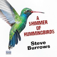 Shimmer of Hummingbirds, A - Steve Burrows - Hörbuch