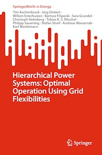 Hierarchical Power Systems: Optimal Operation Using Grid Flexibilities - Tim Aschenbruck - E-Book