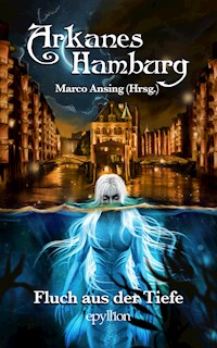 Arkanes Hamburg - Nils Krebber - E-Book