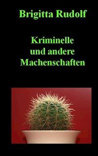 Kriminelle und andere Machenschaften - Brigitta Rudolf - E-Book