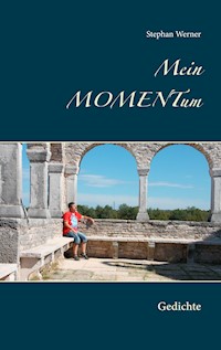 Mein Momentum - Stephan Werner - E-Book