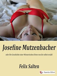 Josefine Mutzenbacher oder Die Geschichte einer Wienerischen Dirne von ihr selbst erzähl - Salten Felix - E-Book