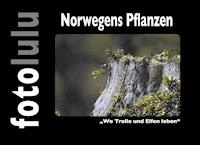Norwegens Pflanzen - fotolulu - E-Book