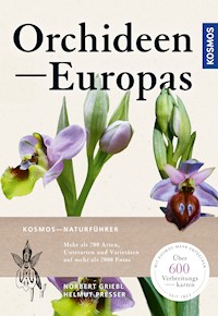 Orchideen Europas - Norbert Griebl - E-Book