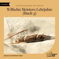 Wilhelm Meisters Lehrjahre (Buch 3) - Johann Wolfgang von Goethe - Hörbuch