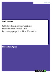 Selbstwirksamkeitserwartung, Health-Belief-Modell und Beratungsgespräch. Eine Übersicht - Toni Werner - E-Book
