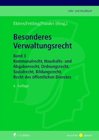 Recht der Kreditsicherheiten - Peter Bülow - E-Book