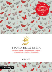 Teoría de la resta - Flavia Company - E-Book