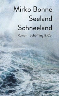 Seeland Schneeland - Mirko Bonné - E-Book