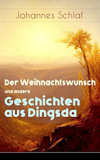 Der Weihnachtswunsch und andere Geschichten aus Dingsda - Johannes Schlaf - E-Book