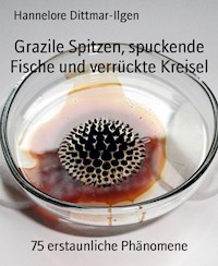 Grazile Spitzen, spuckende Fische und verrückte Kreisel - Hannelore Dittmar-Ilgen - E-Book