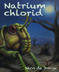 Natriumchlorid - Nico de Jonge - E-Book
