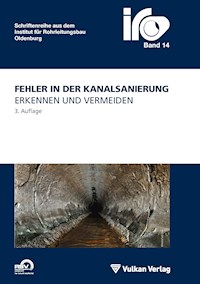 Fehler in der Kanalsanierung - - E-Book