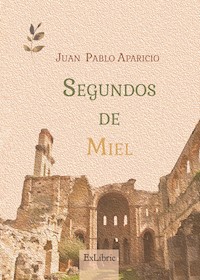 Segundos de miel - Juan Pablo Aparicio Campillo - E-Book
