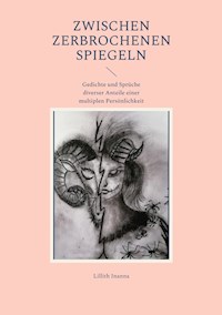 Zwischen Zerbrochenen Spiegeln - Lillith Inanna - E-Book