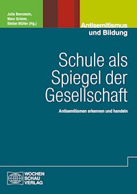 Schule als Spiegel der Gesellschaft - - E-Book