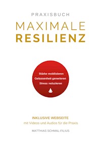 Maximale Resilienz - Matthias Schmal-Filius - E-Book