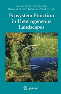 Ecosystem Function in Heterogeneous Landscapes - - E-Book