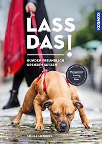 Lass das! - Sonja Meiburg - E-Book