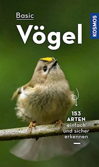 BASIC Vögel - Volker Dierschke - E-Book