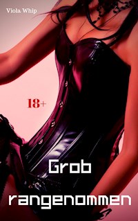 Grob rangenommen - Viola Whip - E-Book