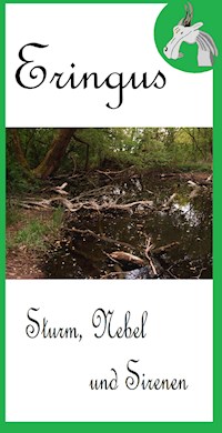 Eringus - Sturm, Nebel und Sirenen - Rainer Seuring - E-Book