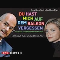 Du hast mich auf dem Balkon vergessen - Axel Lilienblum - Hörbuch