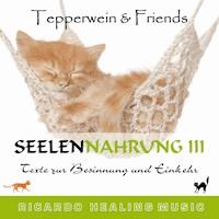 Seelennahrung 3: Texte zur Besinnung und Einkehr (Tepperwein and Friends) -  - Hörbuch
